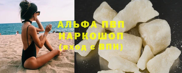 эйфоретик Богданович