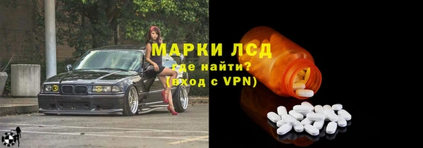 эйфоретик Богданович