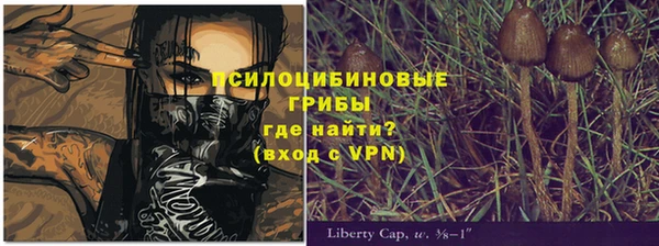эйфоретик Богданович