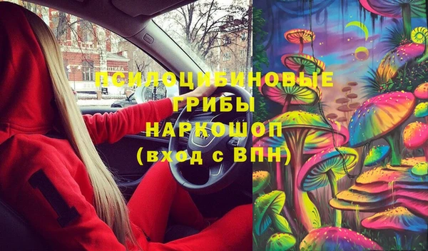 эйфоретик Богданович