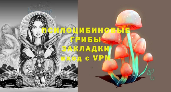 ГАЛЛЮЦИНОГЕННЫЕ ГРИБЫ Богородицк